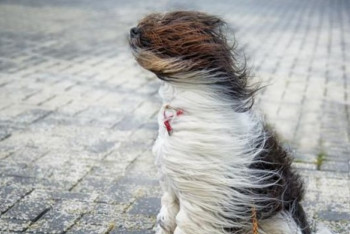 Фотография к новости: В трех областях Казахстана объявили штормовое предупреждение