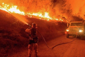 Фотография к новости: Пятый день не могут потушить пожар в горах Жамбылской области