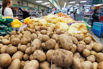 Меморандум по сдерживанию цен на картофель подписали в Алматы