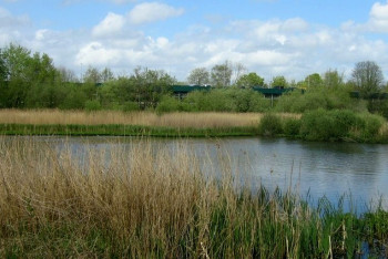 Фотография к новости: Труп женщины в водоёме обнаружил житель Костанайской области