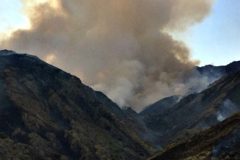 Пожар в Жамбылской области: обстановка стабилизировалась после дождя