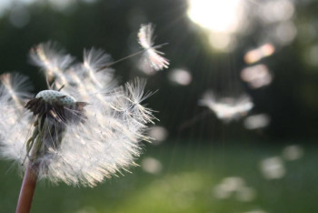 Фотография к новости: Штормовое предупреждение объявлено в четырёх областях Казахстана