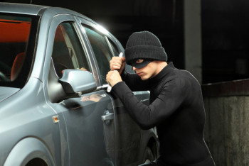 МВД Казахстана и России совместно задержали за автокражи 80 человек