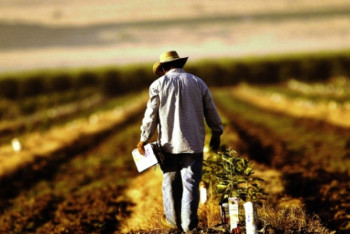 Фотография к новости: Обращение по ситуации с дизтопливом сделали фермеры Казахстана