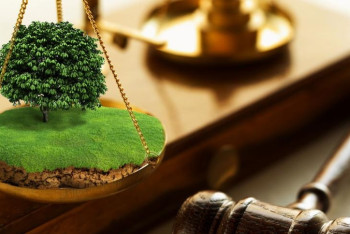 Фотография к новости: Вернуть в госфонд земли обязывают актюбинских фермеров  