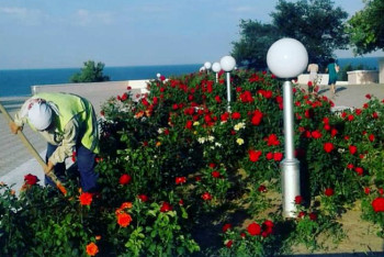 Фотография к новости: Цветы на 823 млн тенге высадили перед каспийским саммитом в Актау