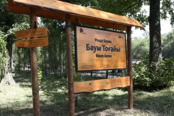 Захваченные земельные участки в Роще Баума возвращены городу Алматы