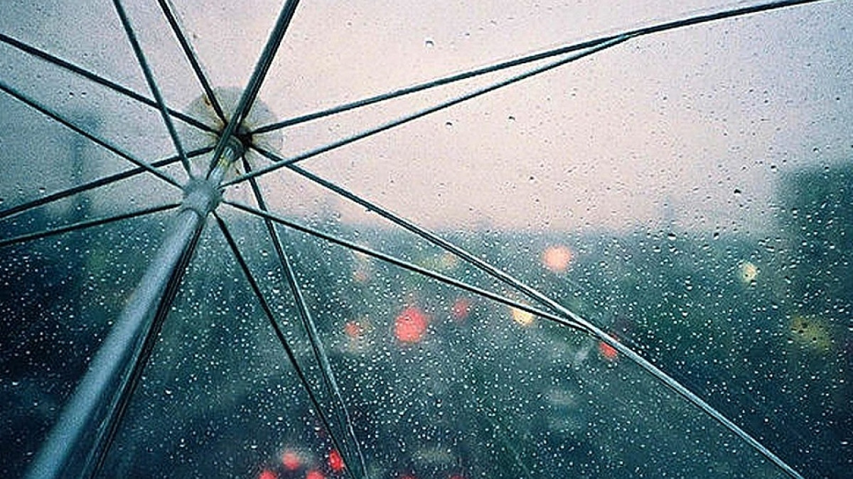 Из открытых источников 