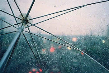 Фотография к новости: Дожди с грозами пройдут в некоторых регионах страны седьмого августа 