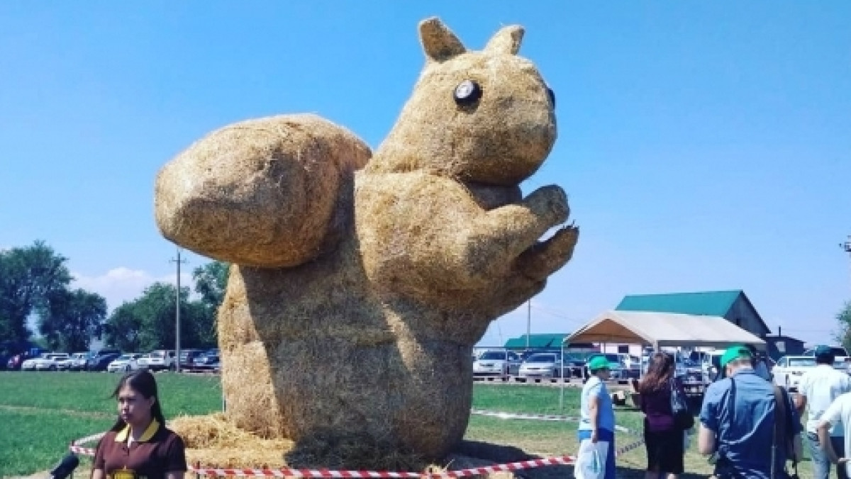 из открытых источников