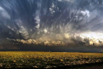 Фотография к новости: Штормовое предупреждение объявлено в двух регионах Казахстана 