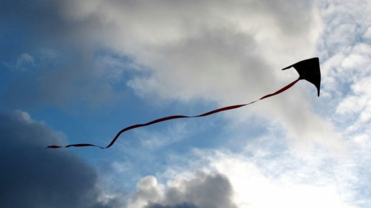 из открытых источников