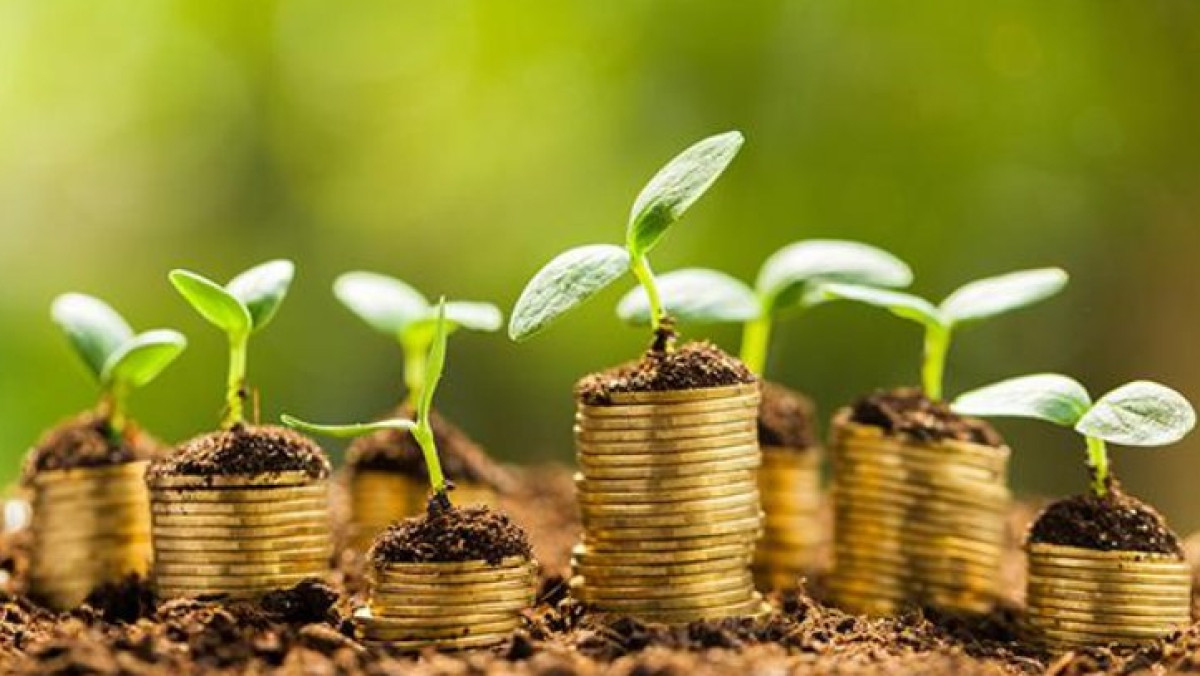 Из открытых источников 