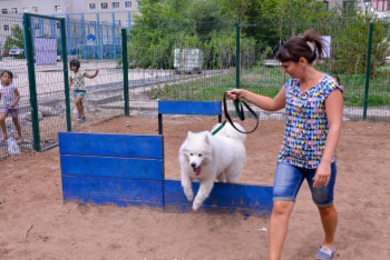 Первая спортплощадка для собак появилась в столичном районе Байконыр 
