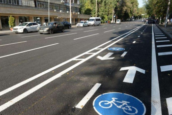 Фотография к новости: Деревья закатали в бетон: Экологи пройдутся по отремонтированным улицам Алматы