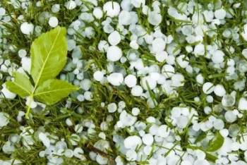 Фотография к новости: Усиление ветра и град ожидаются в Казахстане 1 августа   