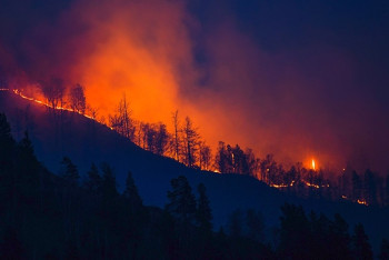 Свыше 200 человек привлекли к тушению пожара в горах Жамбылской области