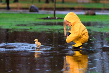 Фотография к новости: Кратковременные дожди местами пройдут на территории Казахстана 31 июля 