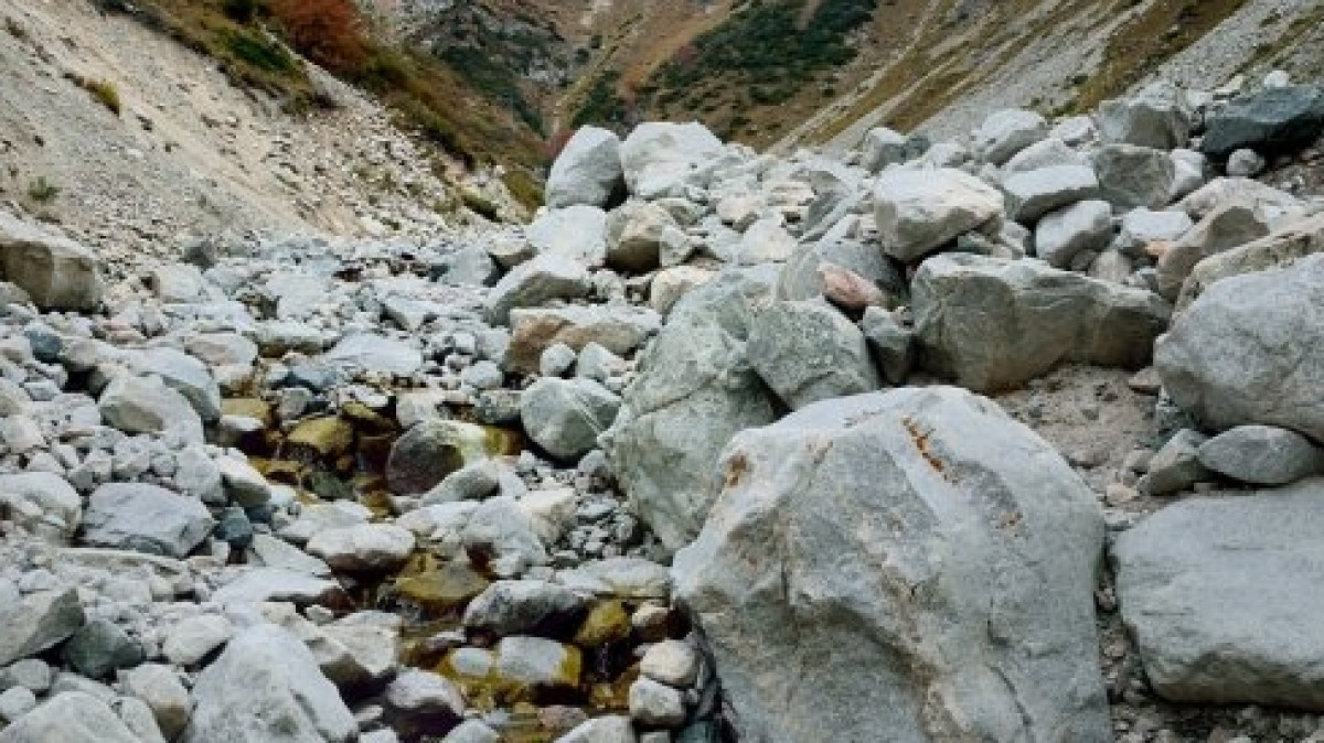 из открытых источников