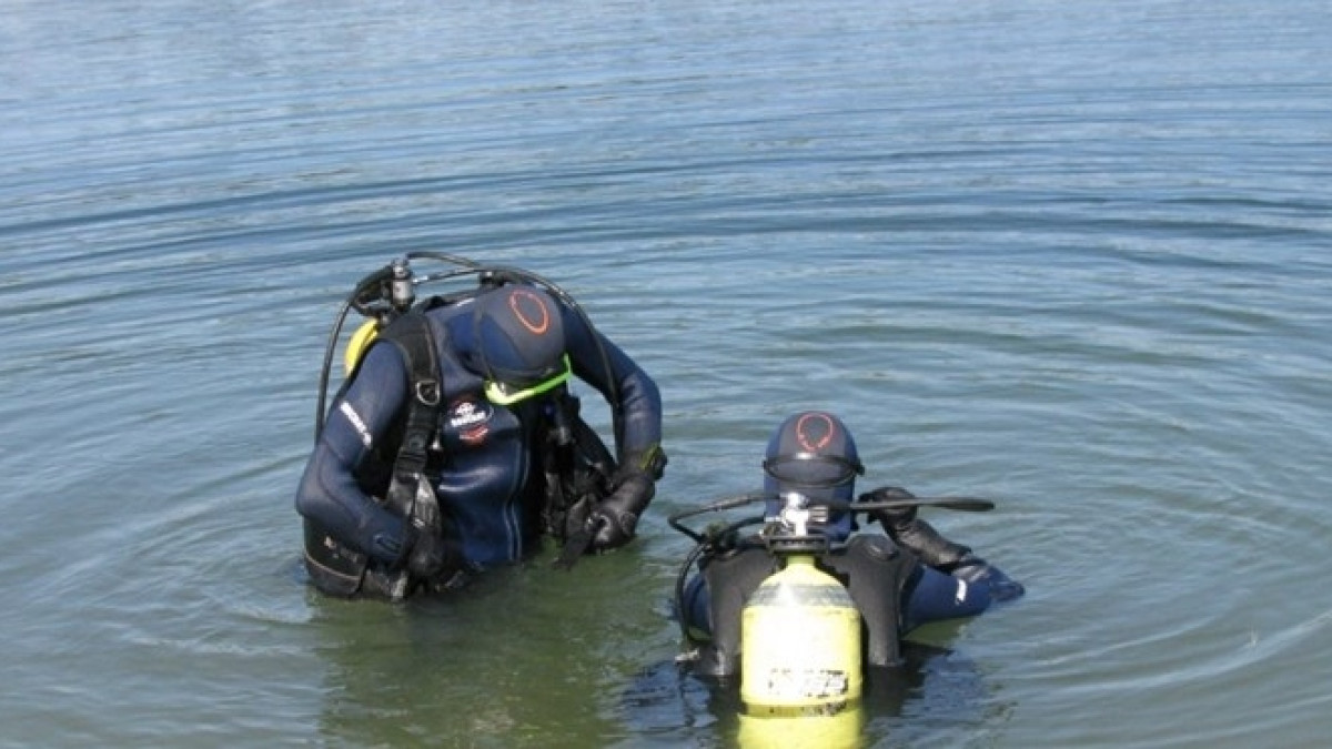 Из открытых источников 