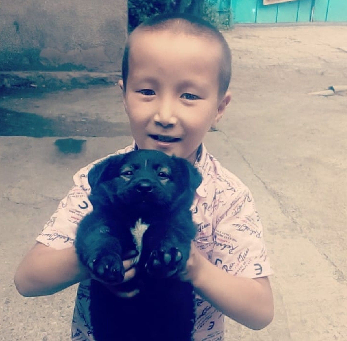 из открытых источников