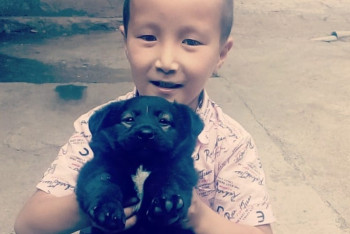  Тело пропавшего семилетнего мальчика нашли в Алматинской области