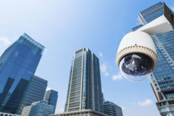 Фотография к новости: Издевающихся над статуями подростков засняла камера "Сергек" 