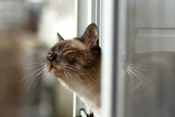 Фотография к новости: Какой будет погода на выходных, рассказали синоптики