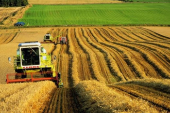 Фотография к новости: Предприниматели Зеренды о льготных условиях кредитования сельскохозяйственного бизнеса