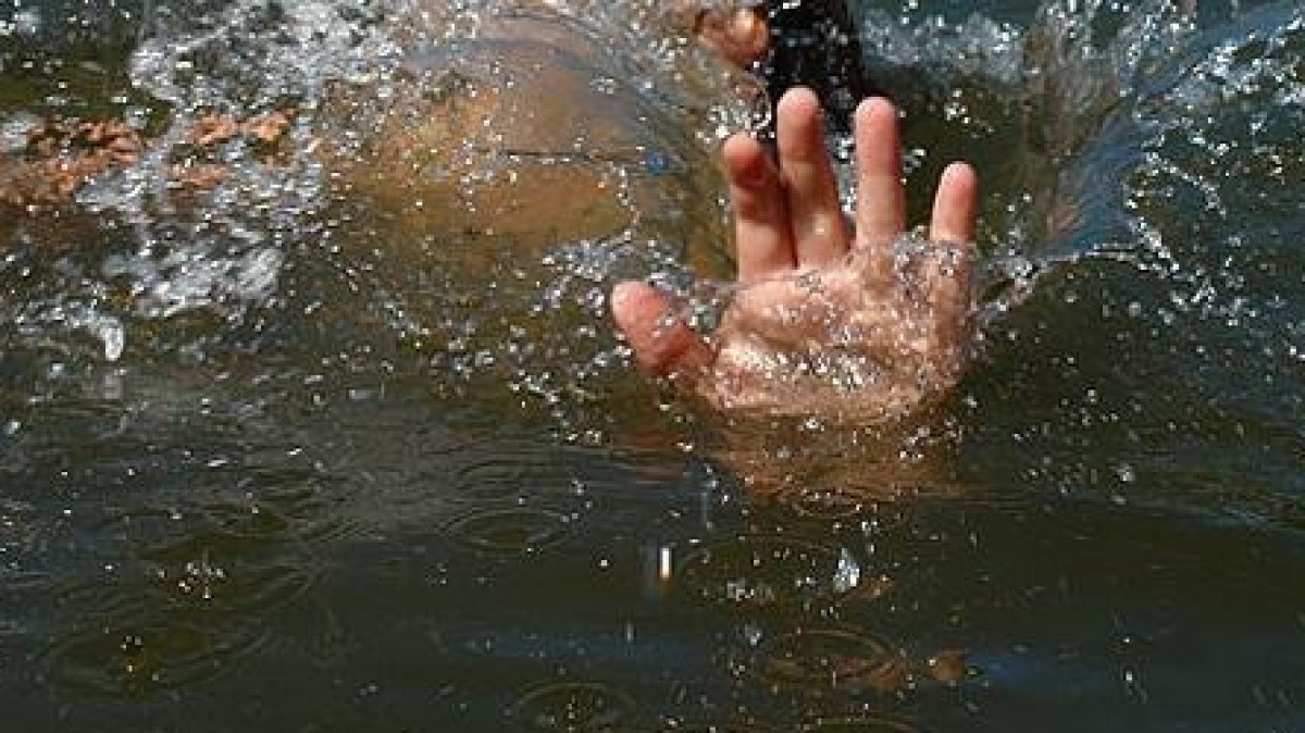 Из открытых источников 