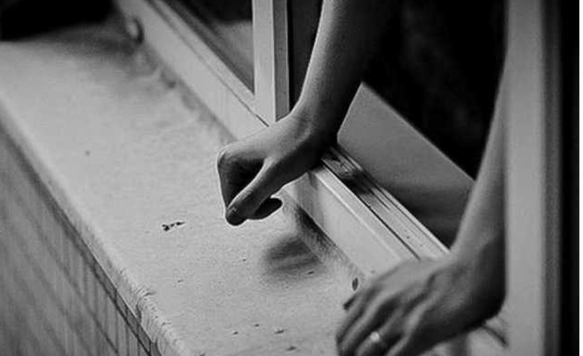 из открытых источников