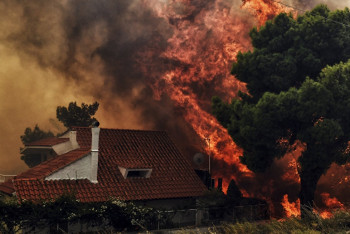Фотография к новости: Греция из-за лесных пожаров просит помощь у ЕС