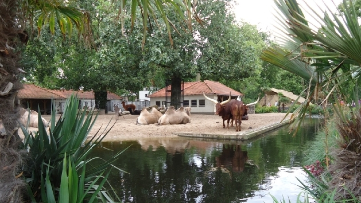 Из открытых источников 