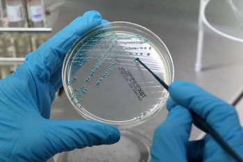 Фотография к новости: К ответственности привлекут чиновника из-за антисанитарии в поезде Уральск – Алматы