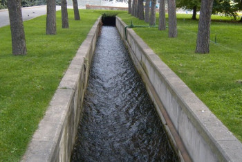 Возобновить полив всех зелёных зон Алматы из арыков планирует акимат