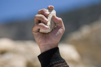 Душевнобольной закидал камнями дорогие авто в Алматы