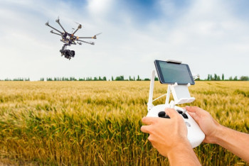 Фотография к новости: С помощью дронов планируется обрабатывать поля от саранчи в Казахстане 