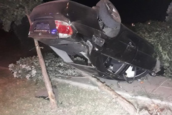 Фотография к новости: Автоледи перевернулась на машине и снесла деревья в Алматы, есть пострадавшие  