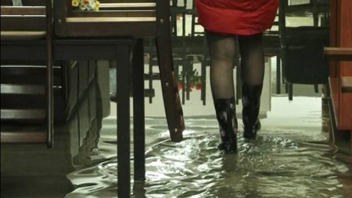 Из открытого источника 