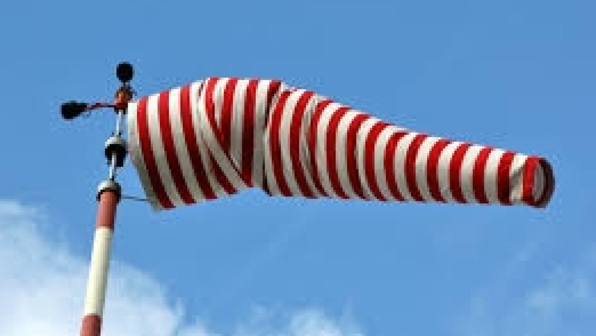 из открытых источников