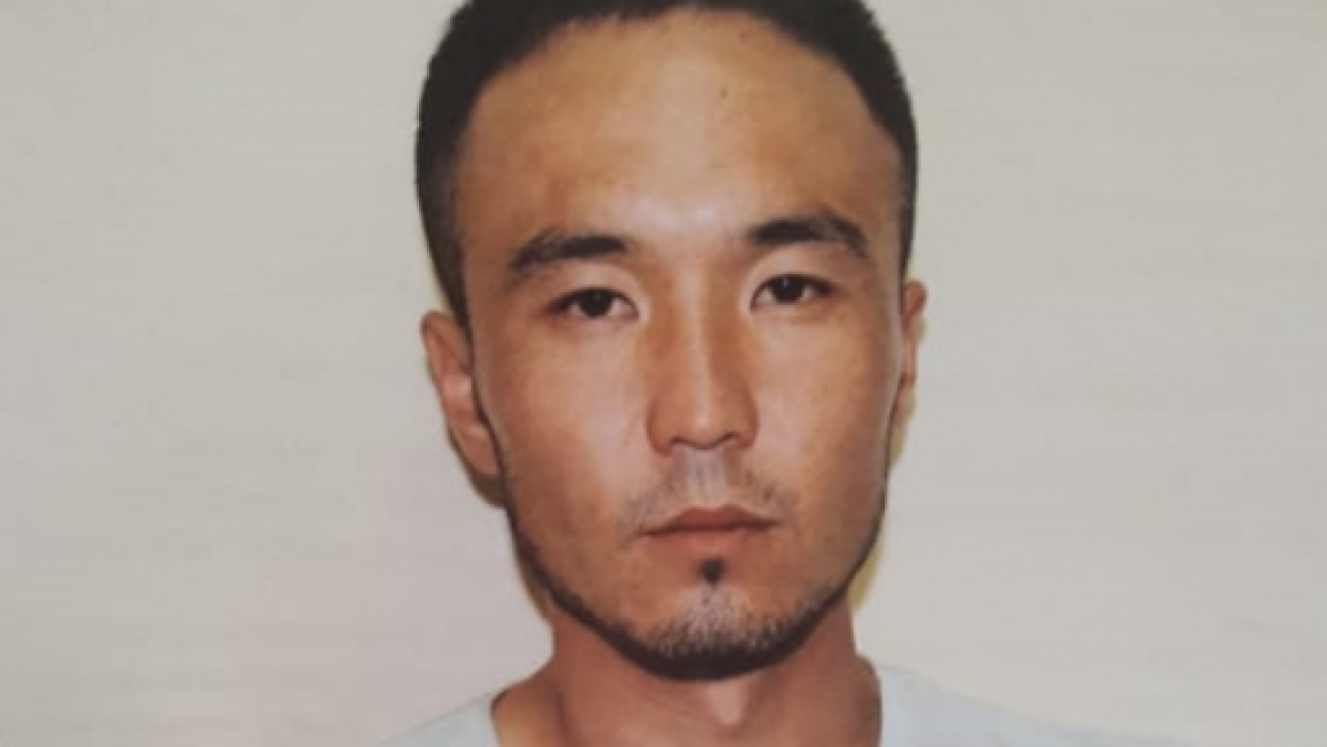 из открытых источников  