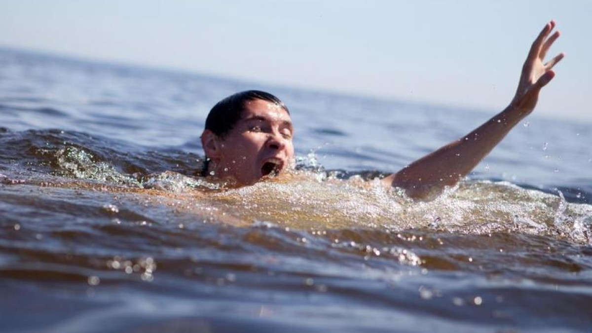 из открытых источников