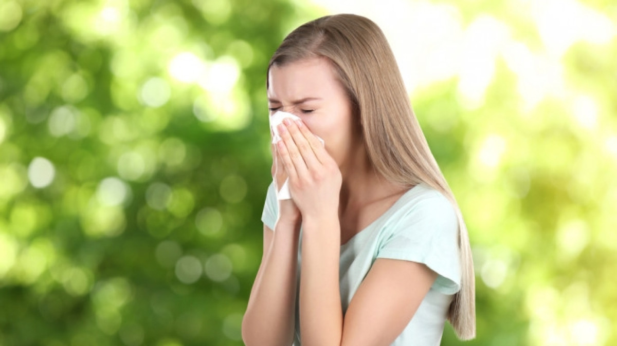 Иллюстративное 