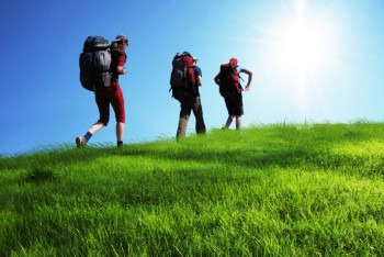 Составлен список проверенных туроператоров в Казахстане 