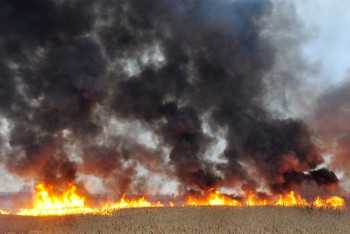 Фотография к новости: Крупный пожар в 3 тысячи га ликвидировали в ВКО