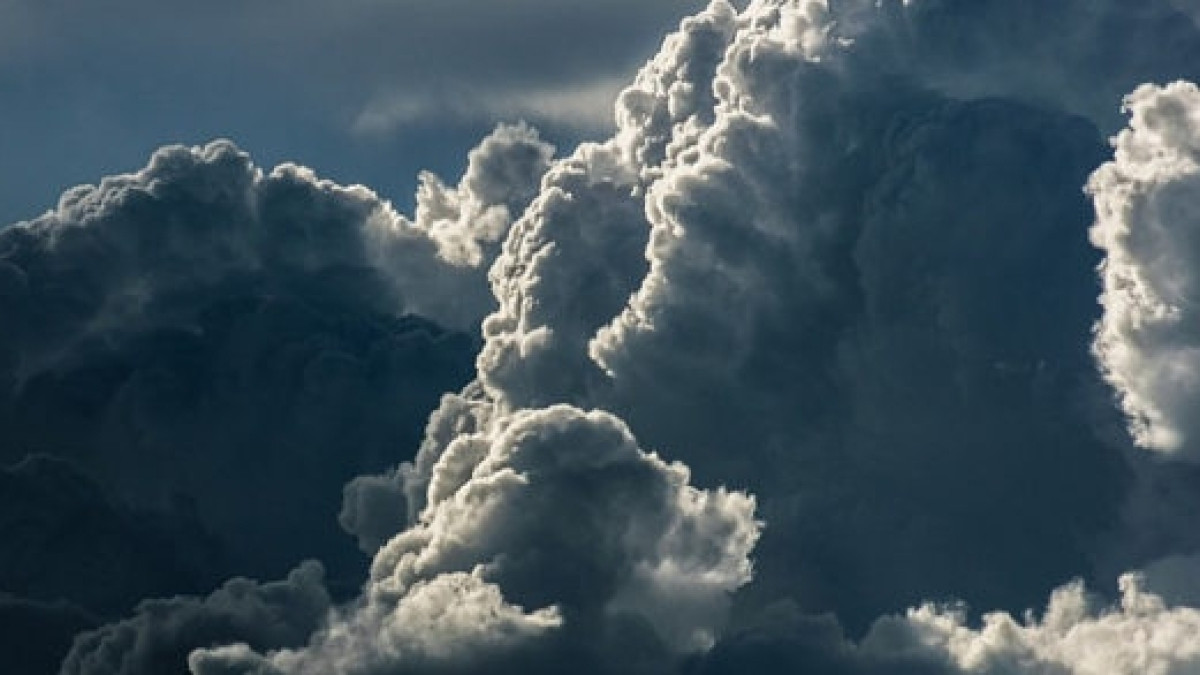 из открытых источников