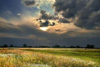 Фотография к новости: Гроза и сильная жара: в четырёх областях Казахстана объявлено штормовое предупреждение