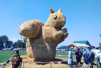 Абсолютно бесплатно – в агропарке "Каскелен" рассказали о бюджетном аналоге алматинской белки
