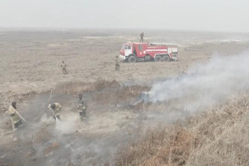 Фотография к новости: Пожарные ликвидировали возгорание 18 га резервата в Атырауской области