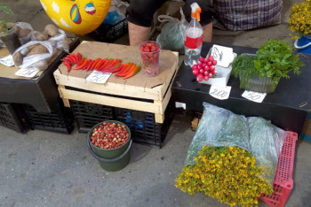 Упорядочить стихийную торговлю призвали акимат санврачи Петропавловска